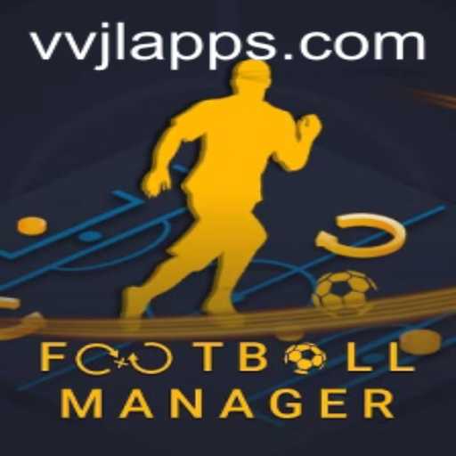 Mastering FootballManager VVJL
